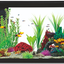 STARTER KIT AQUARIUM