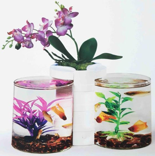 NATURAL WORLD AQUARIUM DUAL TANK
