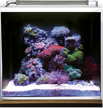 NANO OCEAN SET
