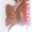 SILK PLANT 12” 30CM