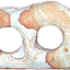 RAINBOW STONE 1.19-3.2kg