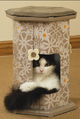 CAT SCRACH PLAY TOWER & TUNEL