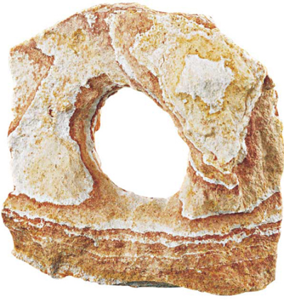 RAINBOW STONE 0,45-1,85kg