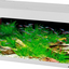 DUBAI 100 AQUARIUM ΜΑΥΡΟ LED