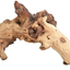 MOPANI WOOD per kg