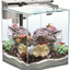 NANO REEF 35 WHITE DUO