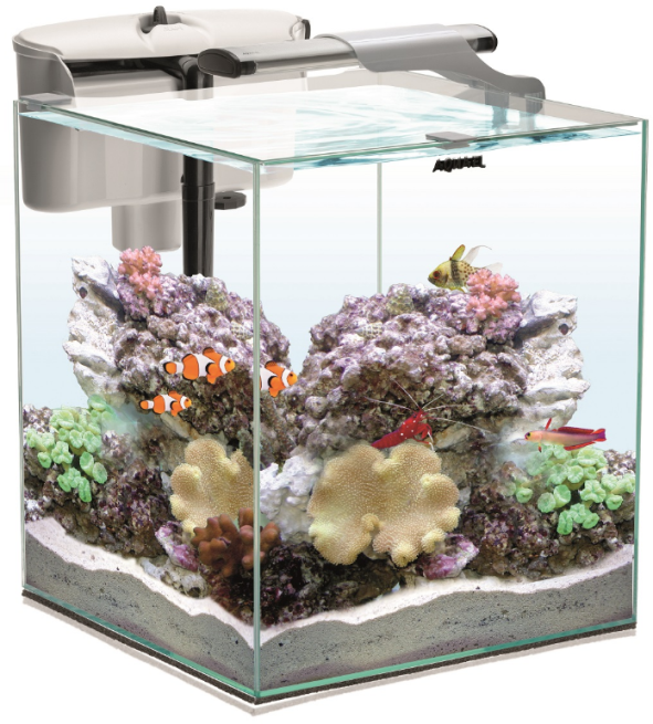 NANO REEF 35 WHITE DUO