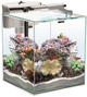 NANO REEF 35 WHITE DUO