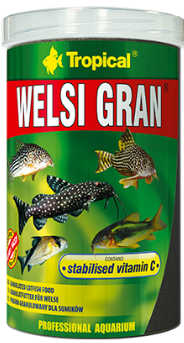 WELSI GRAN