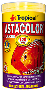 ΧΡΩΜΑ ASTA
