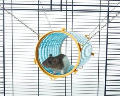 GIANT TUBE