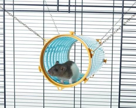 GIANT TUBE