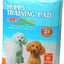 DOG TRAINING PADS