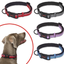 HALTI COLLAR MEDIUM