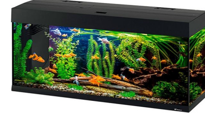 DUBAI 120 LED
