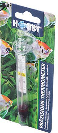 PRECISION THERMOMETER