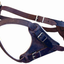 LEATHER DOG HARNESS