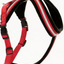 COMFY HARNESS RED