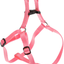 EASY P HARNESS