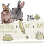 PUUR RABBIT SENSITIVE