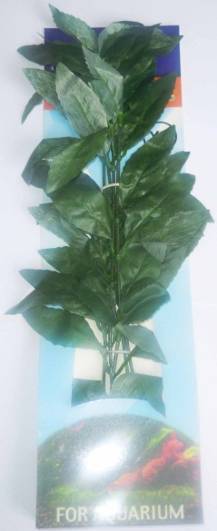 ΜΕΤΑΞΩΤΟ ΦΥΤΟ 16” 40CM