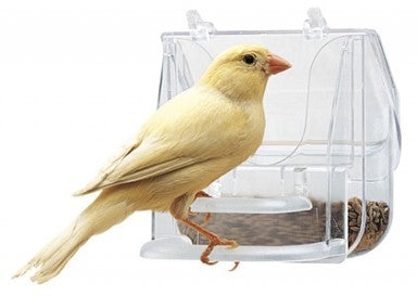 PRETTY BIRD FEEDER