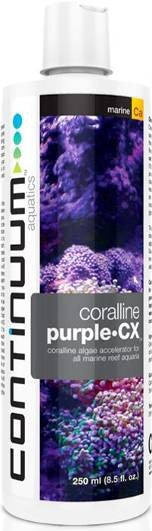CORALLINE PURPLE • CX