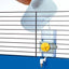 Watering troughs for rodents and birds