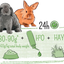 PUUR RABBIT JUNIOR