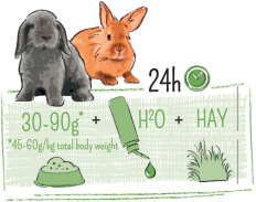 PUUR RABBIT JUNIOR