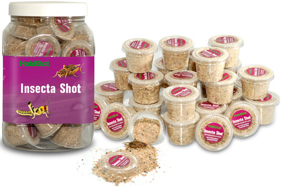 HABISTAT INSECTA SHOT DISPLAY JAR
