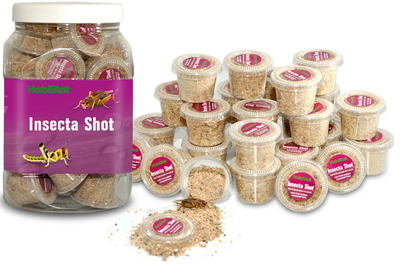 HABISTAT INSECTA SHOT DISPLAY JAR