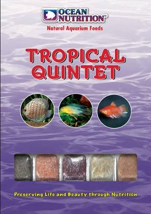 TROPICAL QUINTET  CUBE TRAY 100g