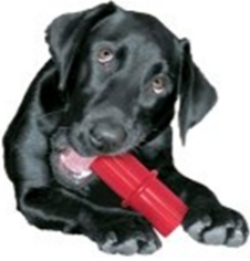 KONG DENTAL STICK