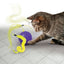 PURRSUIT WHIRLWIND