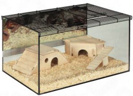 TERRARIUM 60