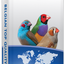 41-PREMIUM FOREIGN FINCH