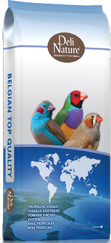 41-PREMIUM FOREIGN FINCH