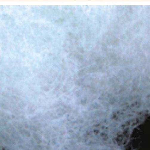FILTER WOOL
