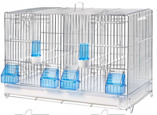 CAGE ZINGATA