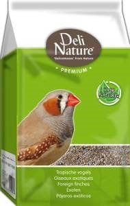 41-PREMIUM FOREIGN FINCH