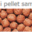 ЗАРОДЫШИ ПШЕНИЦЫ