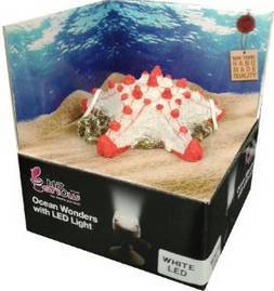ΚΙΤ H2SHOW STARFISH DÉCOR-ΛΕΥΚΟ LED 2w