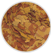 VITALITY&amp; COLOR FLAKE