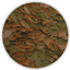 CICHLID COLOR FLAKE