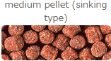 WHEAT GERM SINKING