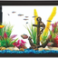 STARTER KIT AQUARIUM