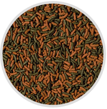CICHLID RED & GREEN  STICKS