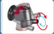 P26602 PICO