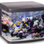 SIGHT AQUARIUM